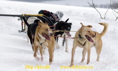 Tri studne zima 2009 - 0906.jpg